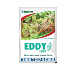 EDDY 72WP