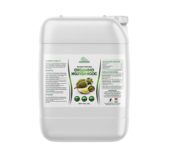 ORGAMINO NGUYÊN NGỌC