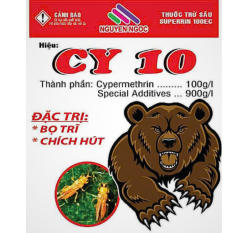 CY 10 